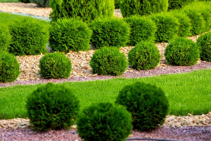 Bush Planting Service in Ventura County, CA