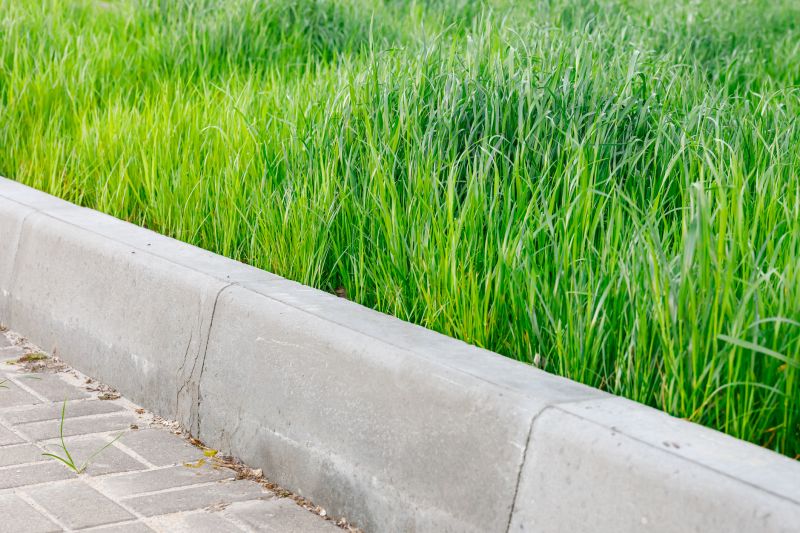 Concrete Curbing Installation in Citrus County, FL