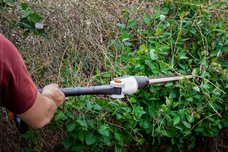 Hedge Installation in Honolulu, HI