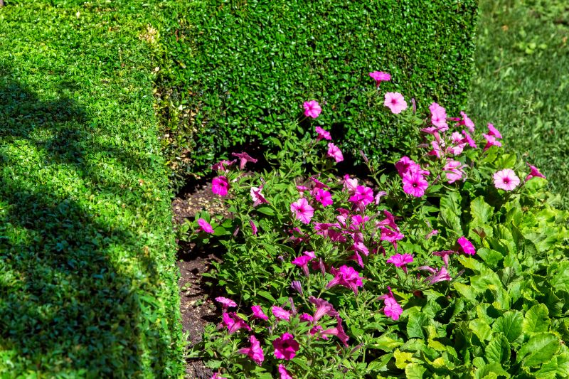 Hedge Planting in Ventura County, CA