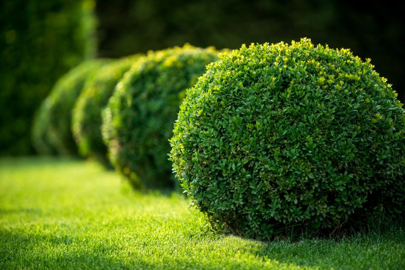 Softscaping Service in Honolulu, HI